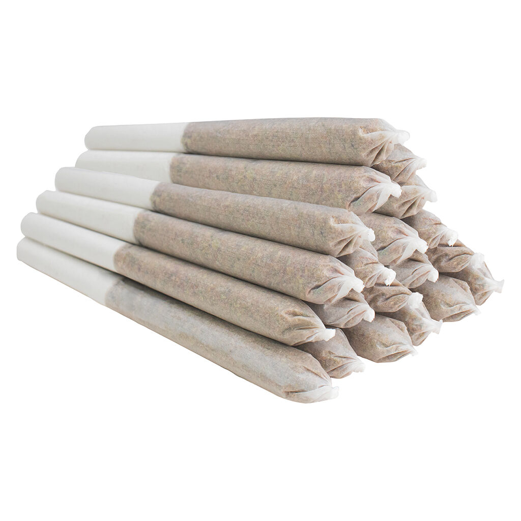 Dawg Walker Pre-Roll