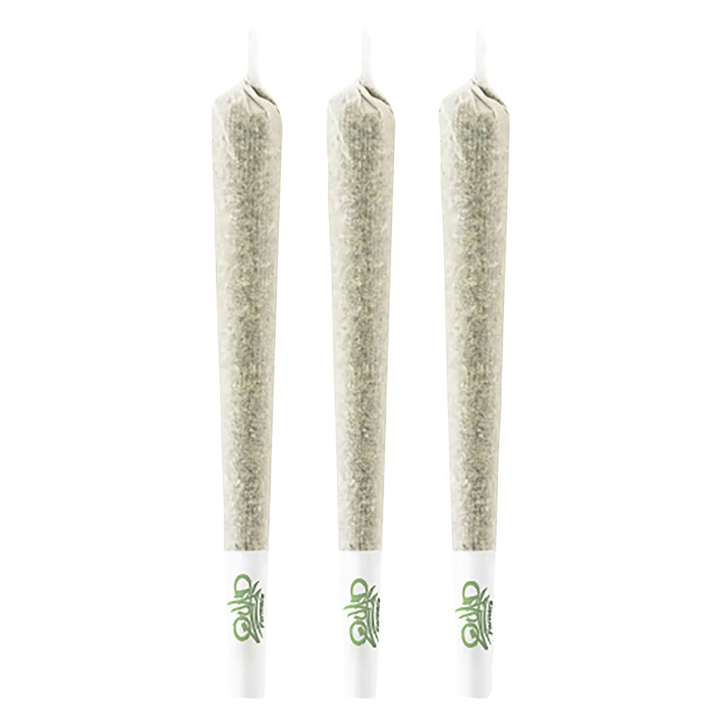 Rainbow Sherb 11 Pre-Roll