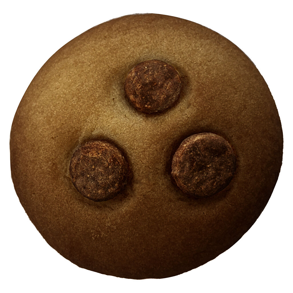 Double Chocolate Chip Biscuit