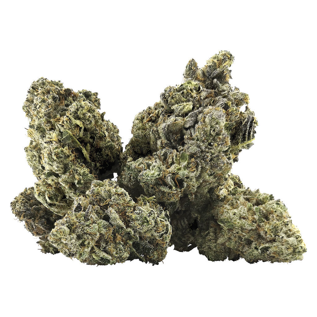 Galactica OG