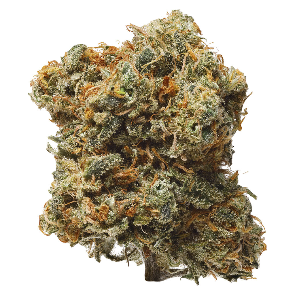 Blue Dream 2