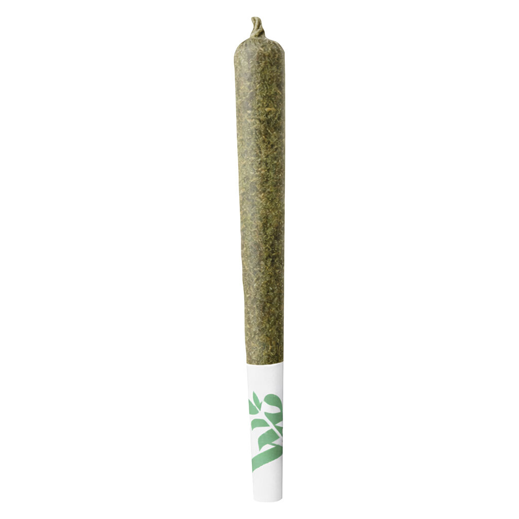 OG Sin Pre-roll