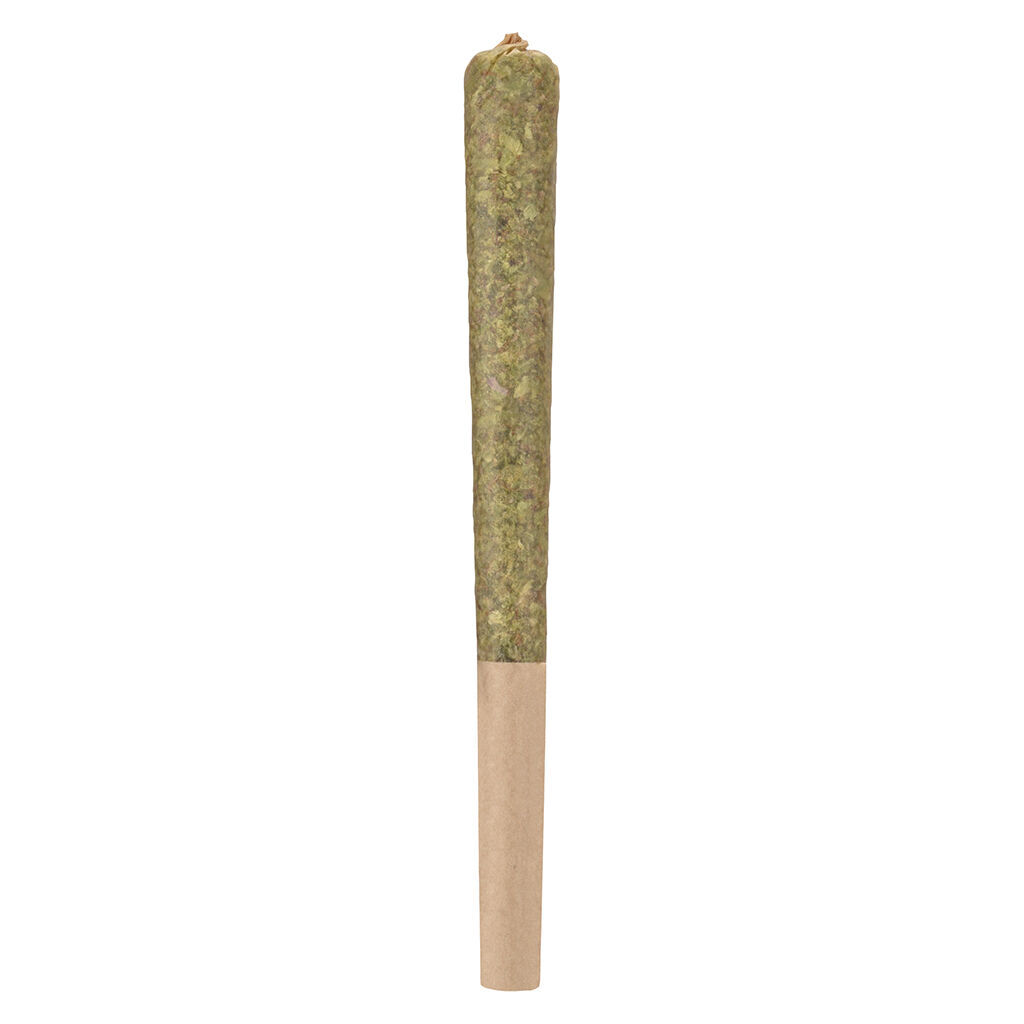Rocketeer Infused Pre-Roll