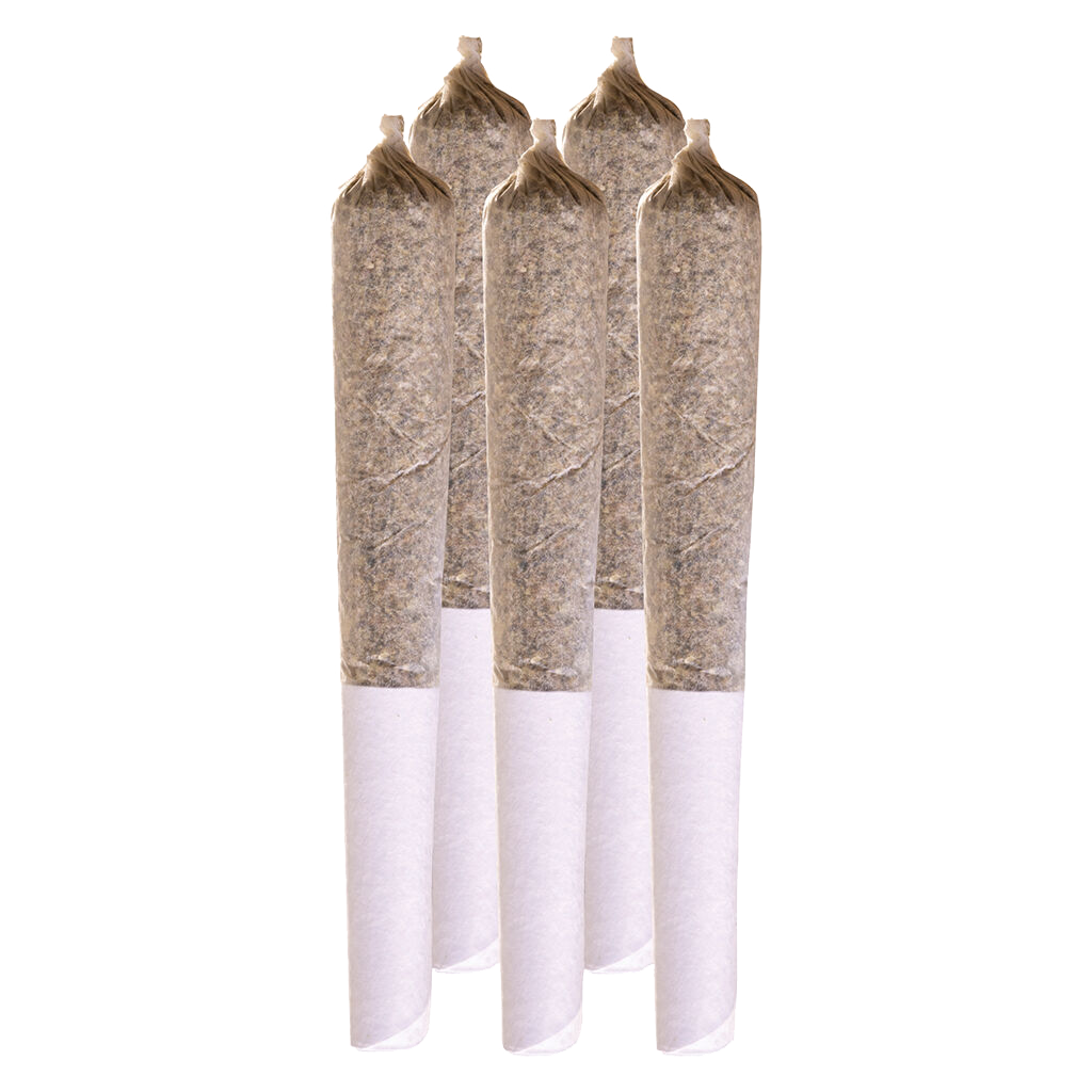 Jack Herer Pre-Roll