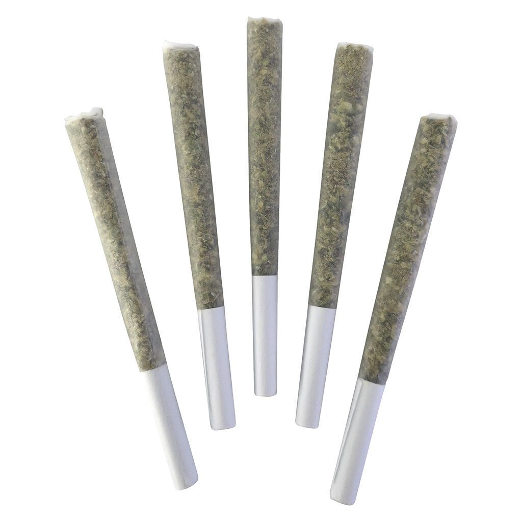 Chemical Romance Pre-roll
