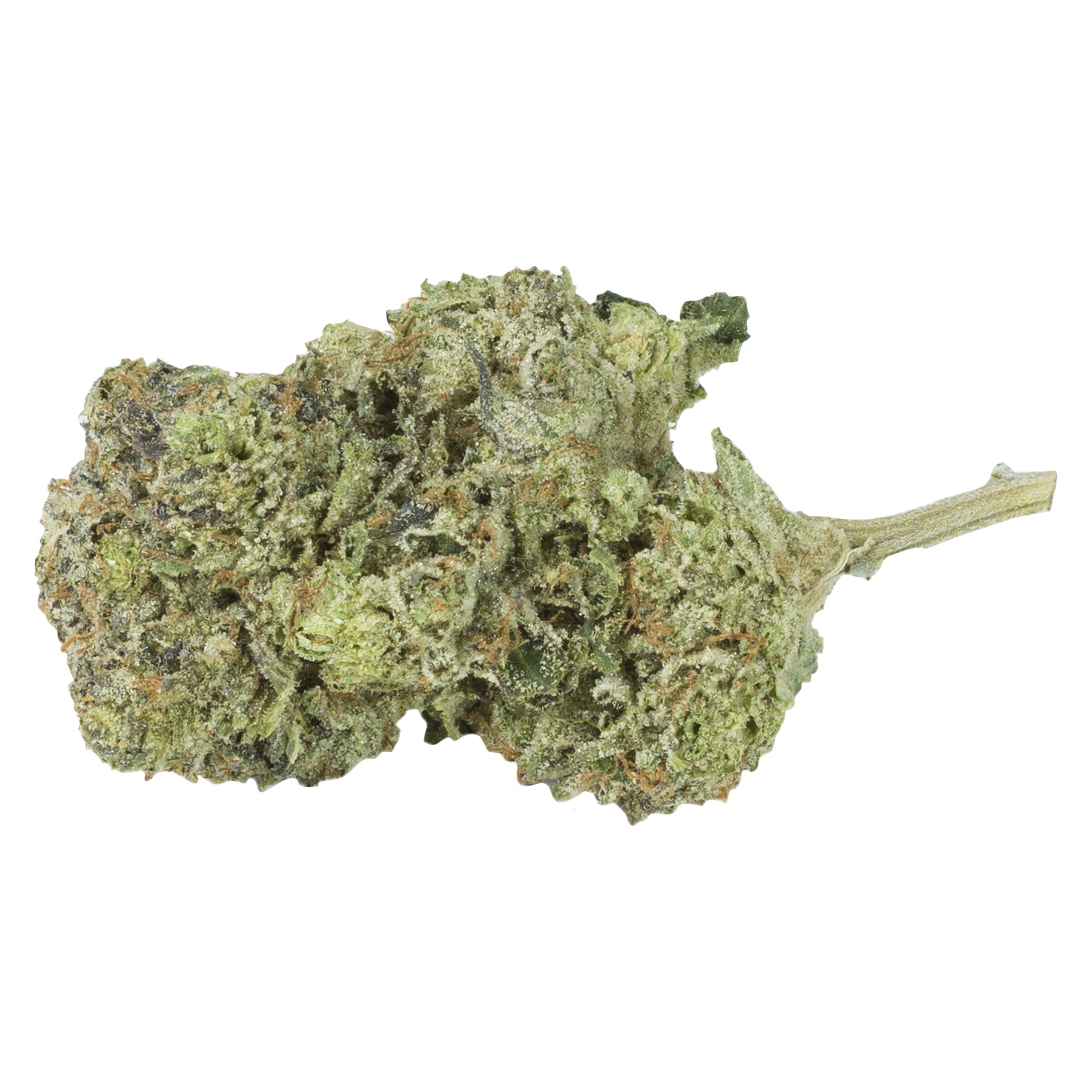 Gelato #4