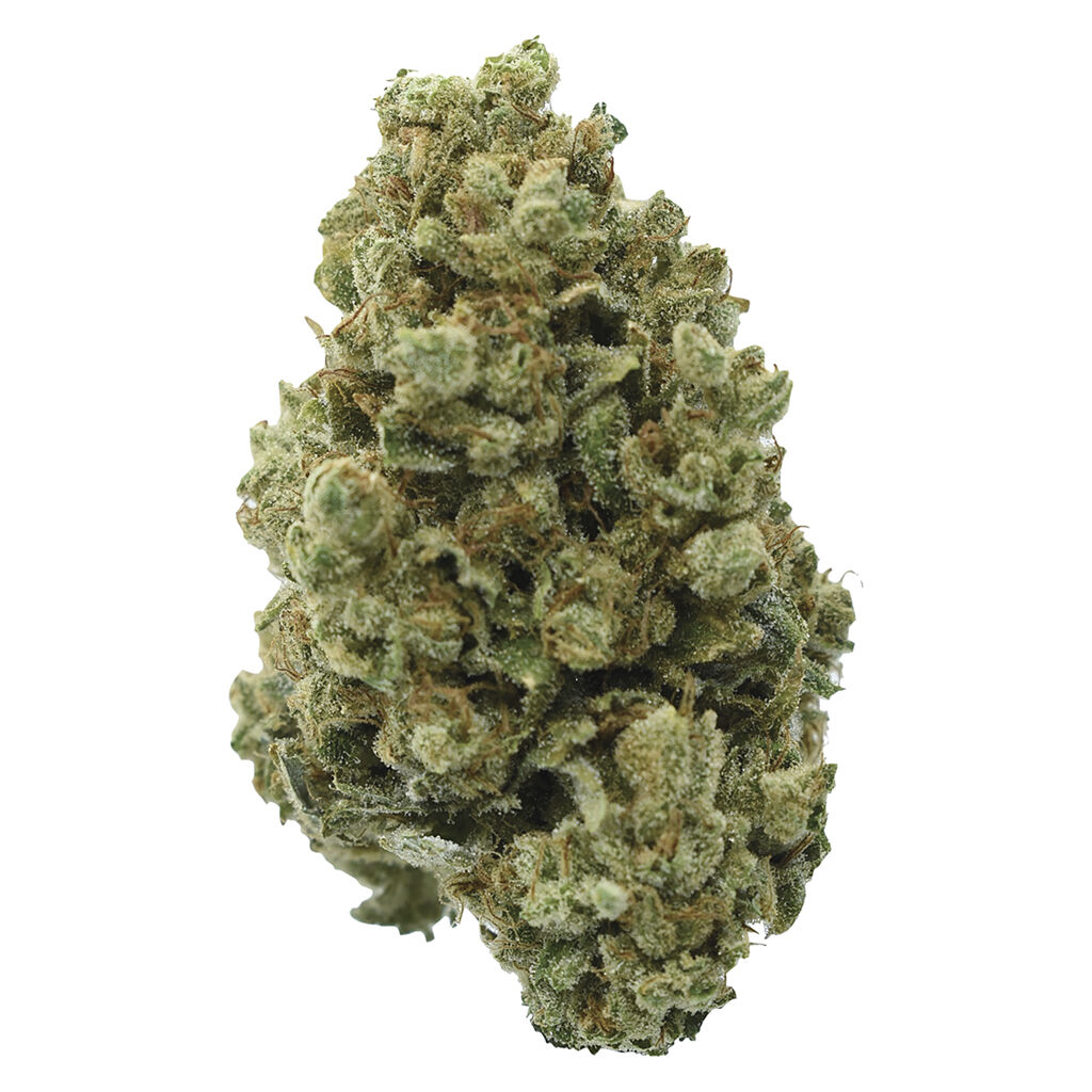Pedro's Sweet Sativa 2