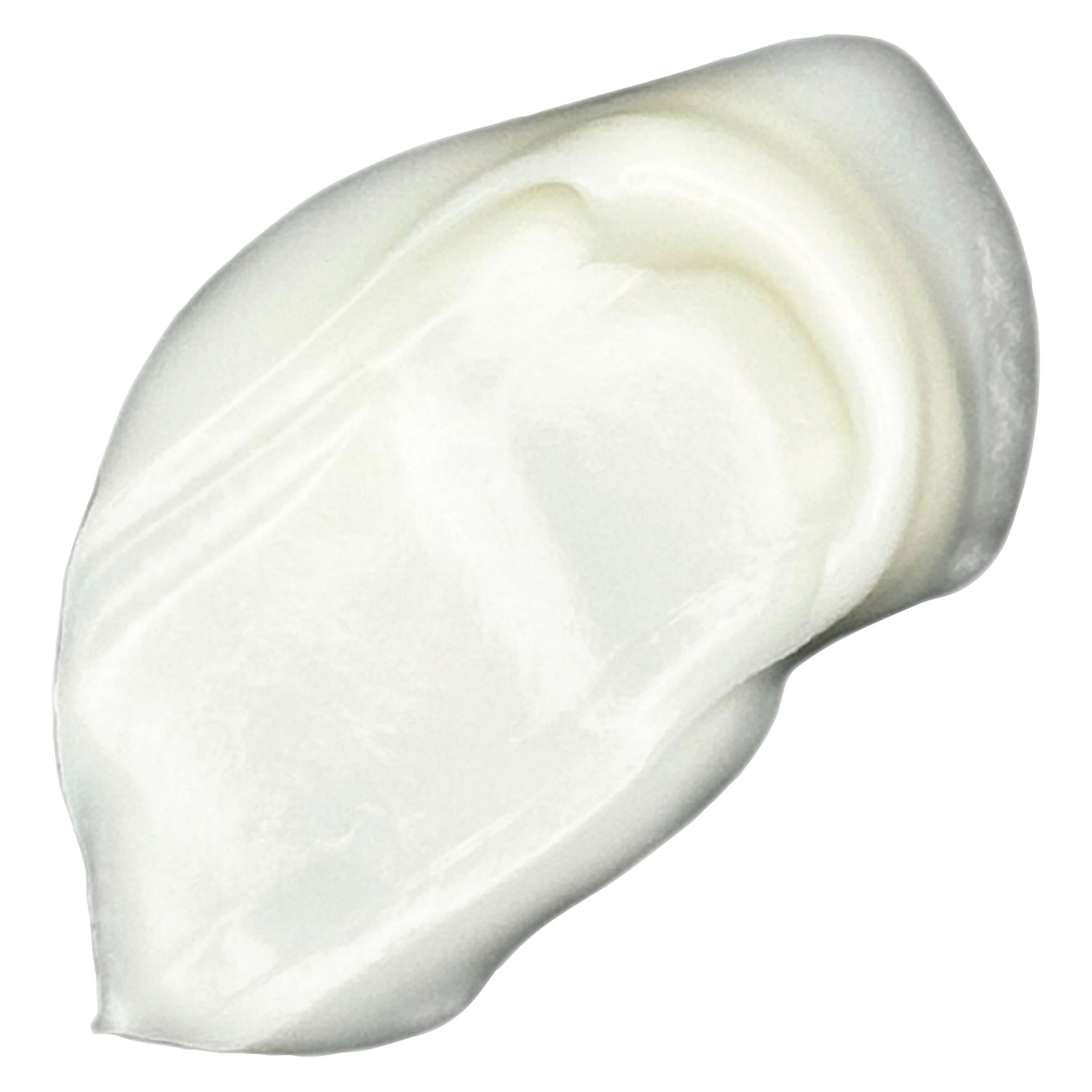 CBD:CBG Vanilla Moisturizing Cream for Body