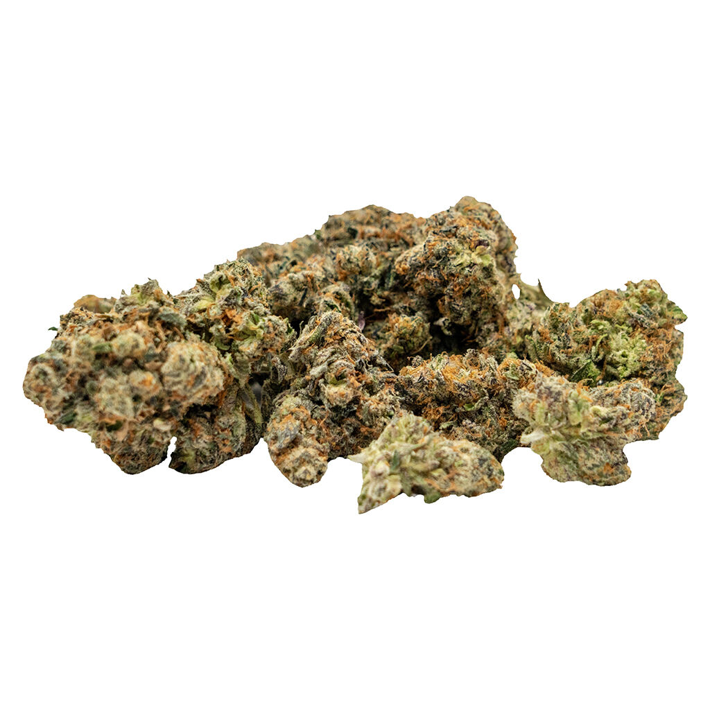 GovernMint Oasis2