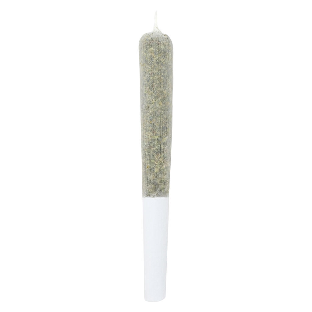 Dank Spank Pre-Roll