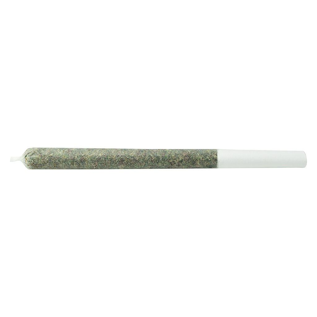 The Jeffrey Pre-Roll 3