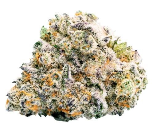 Guava Bomba