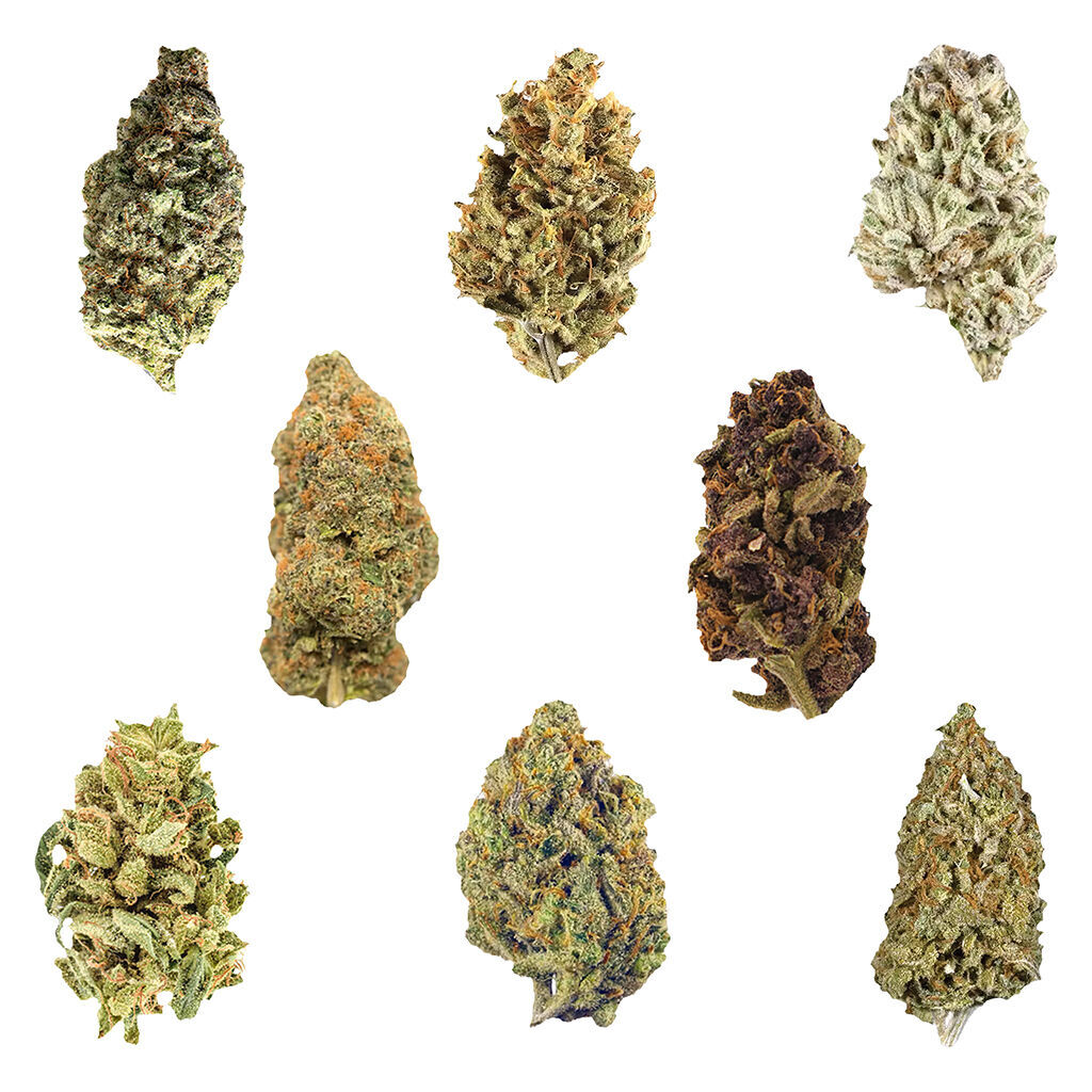 Dankmas Feast Variety Pack