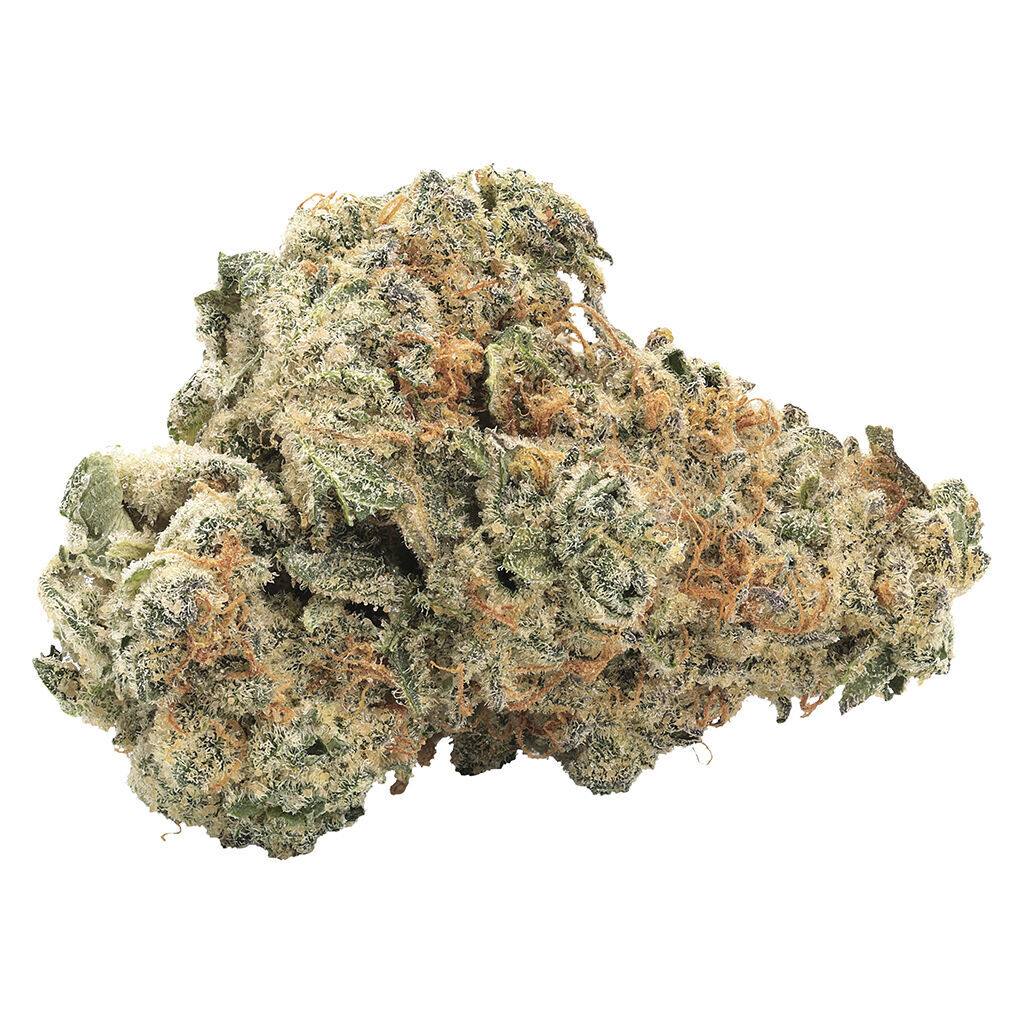 GMO Kush Indica 2