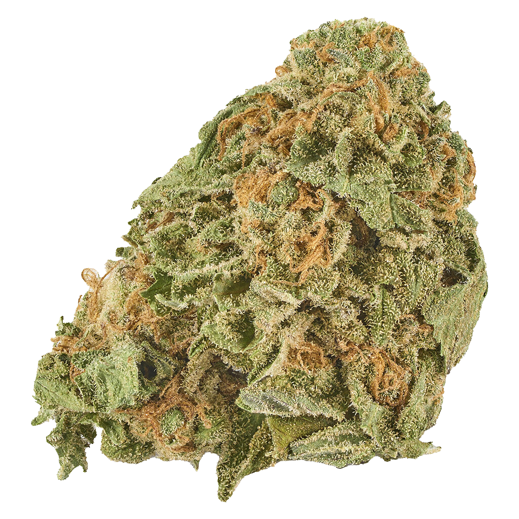 Grand Daddy Purps 2