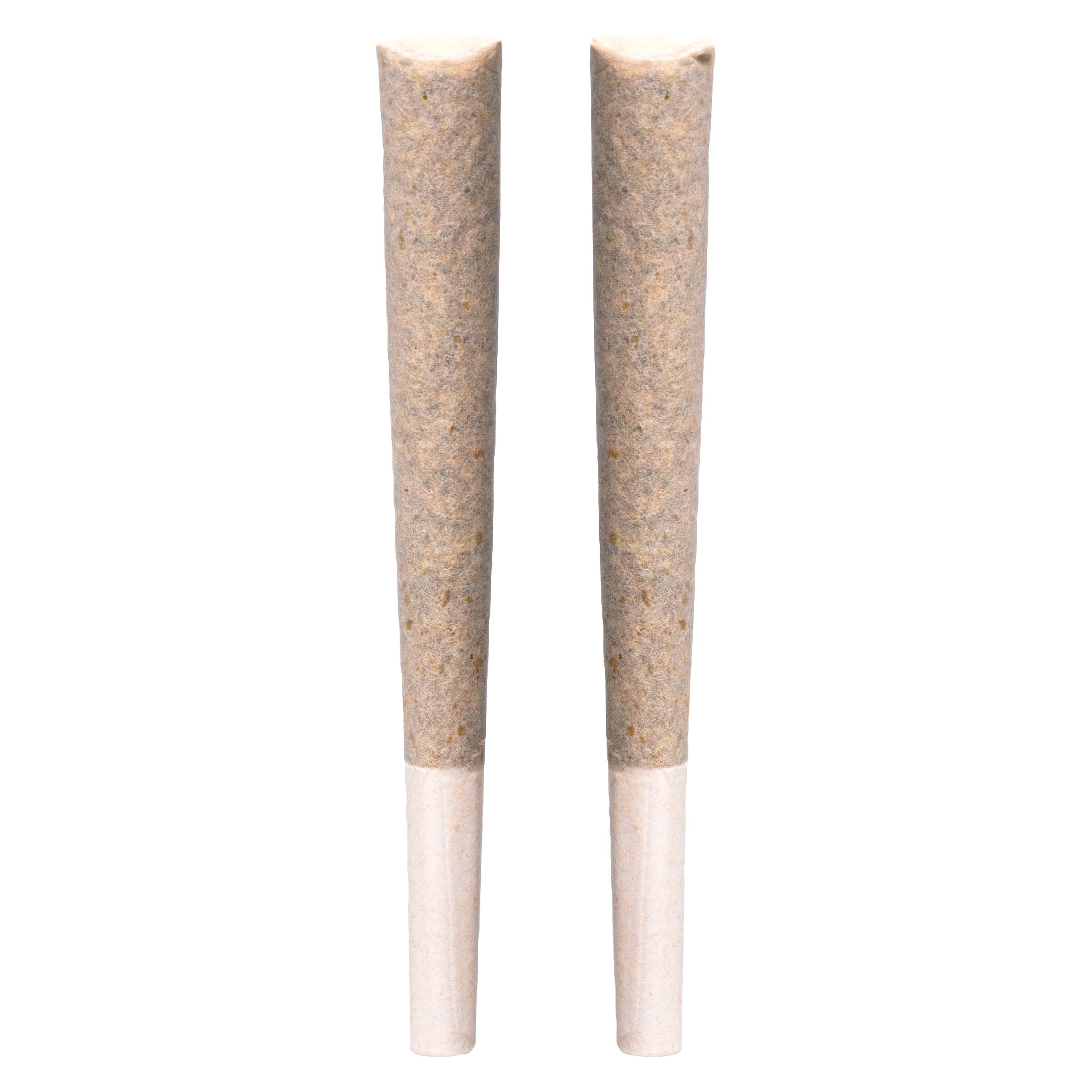 Fatal Attraction Infused Pre-Roll