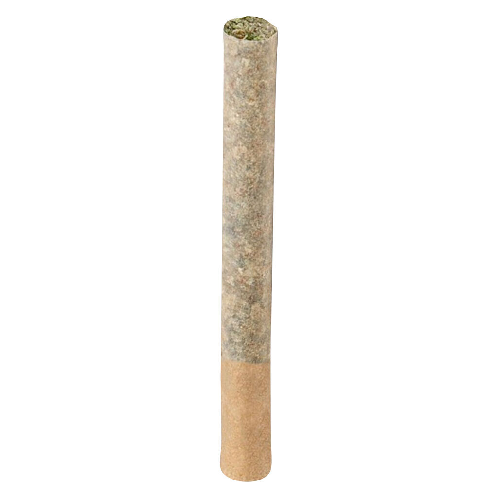 BC ORGANIC (LSO) MAPLE BLIZZARD Pre-Roll