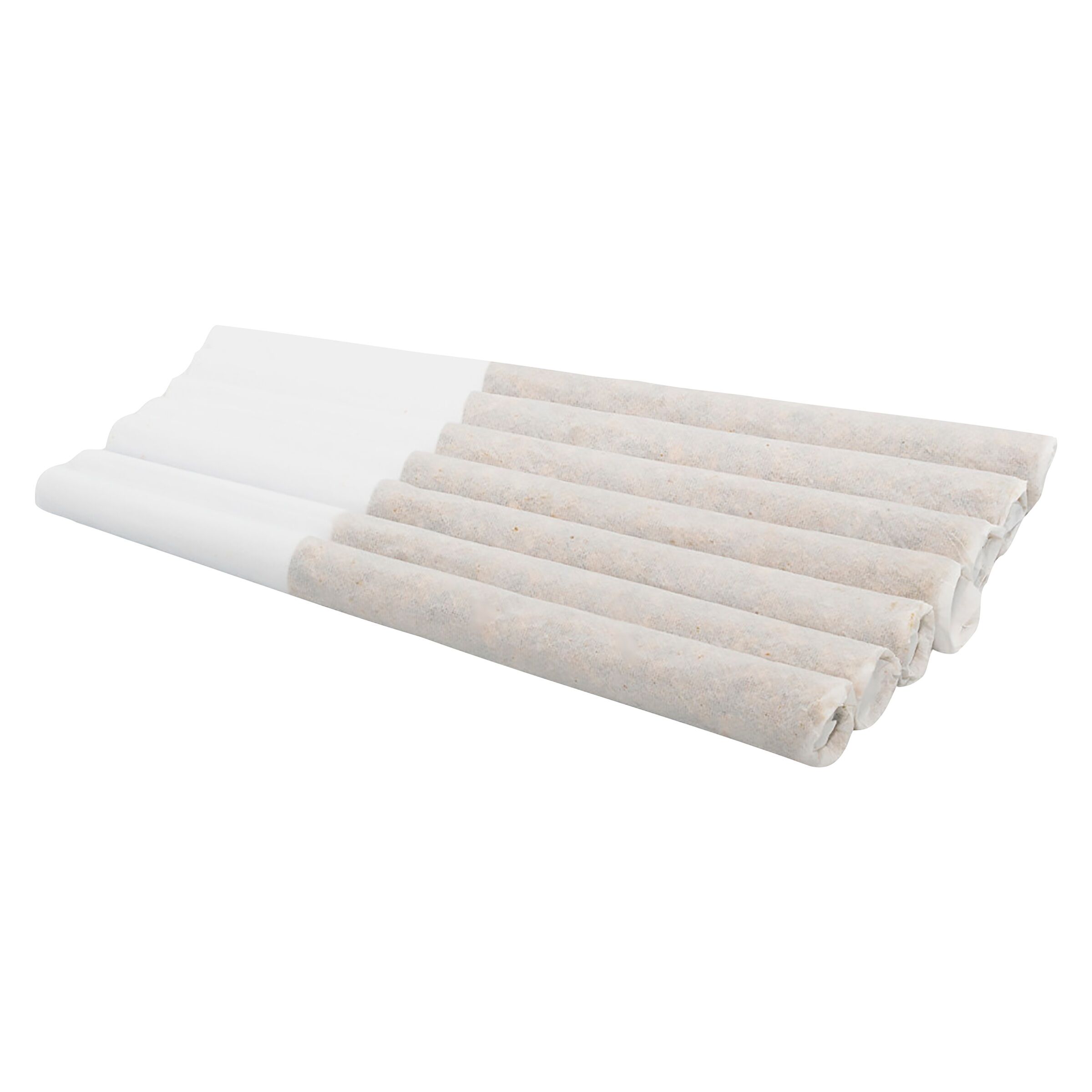 Neon Lotus Pre-Roll
