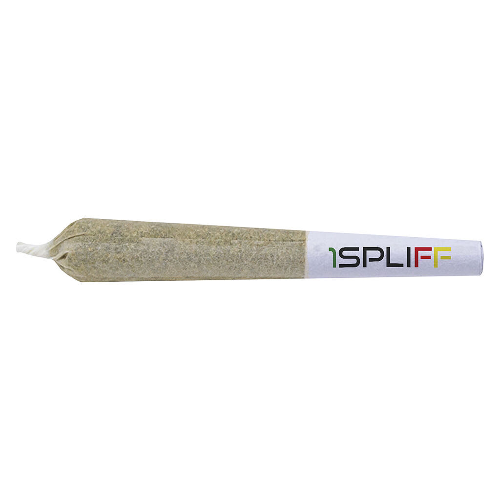 Tiger's Blood Infused Pre-Roll