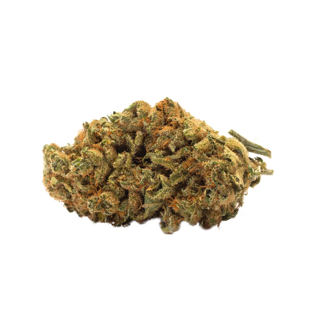 Indica