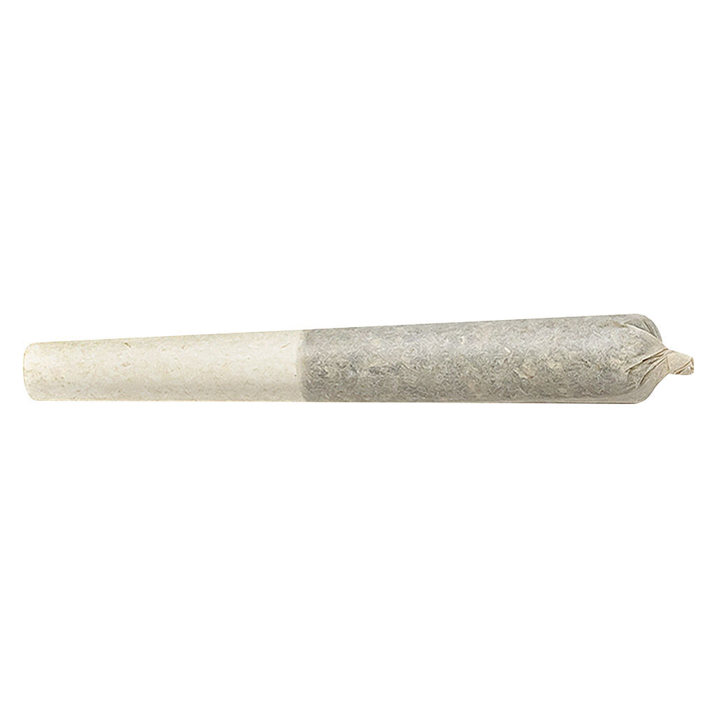 Rotterdam n' Black Infused Pre-Roll