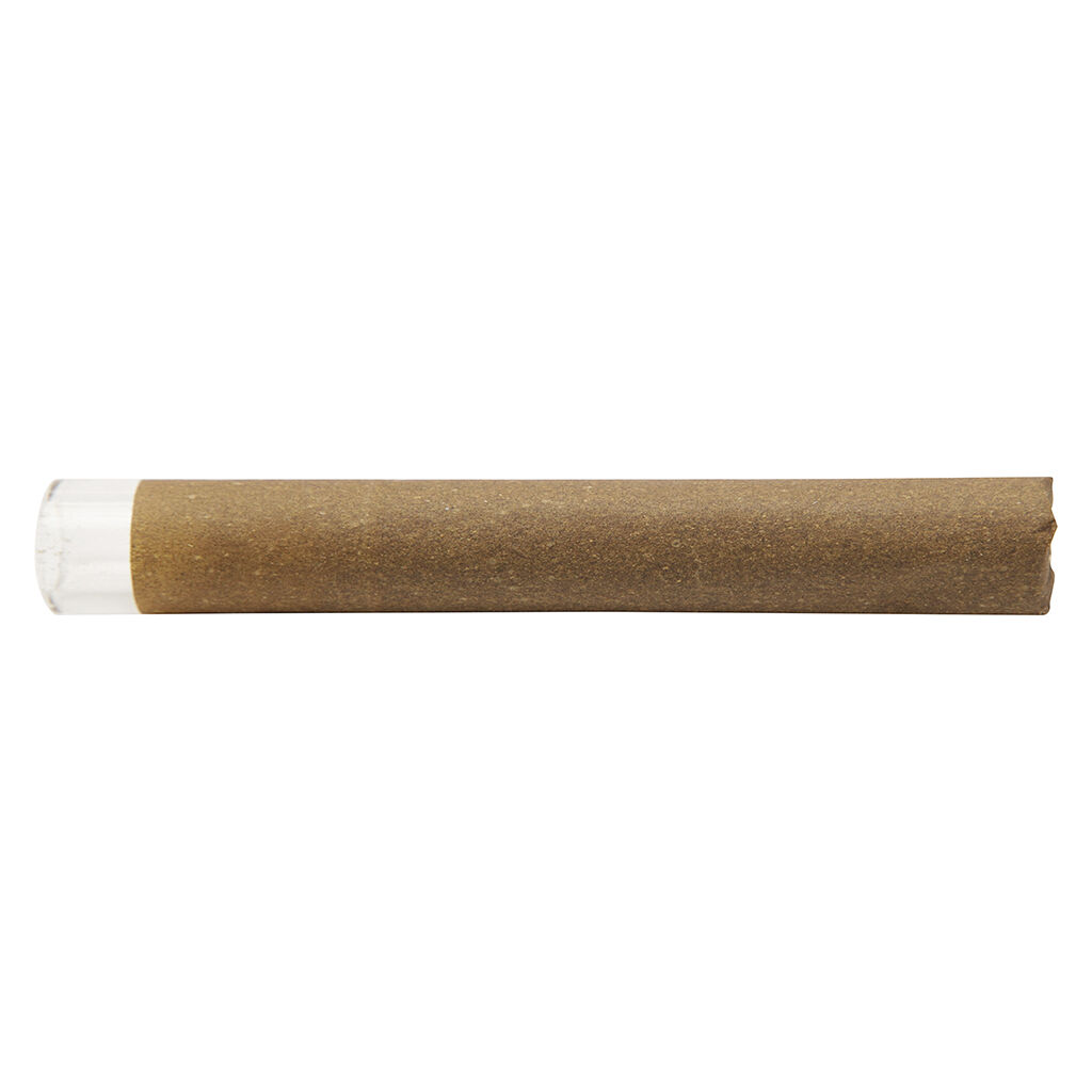 Blunt Talk Infused Blunt