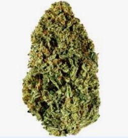 Blueberry 2