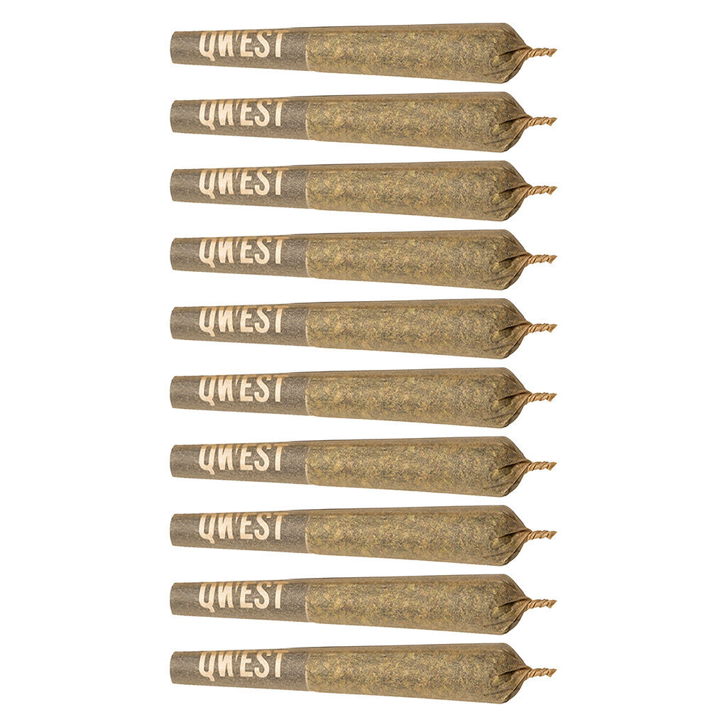 P.s. Cheetah Pre-roll