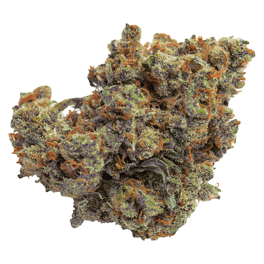 Lazer Jet Craft Whole Flower
