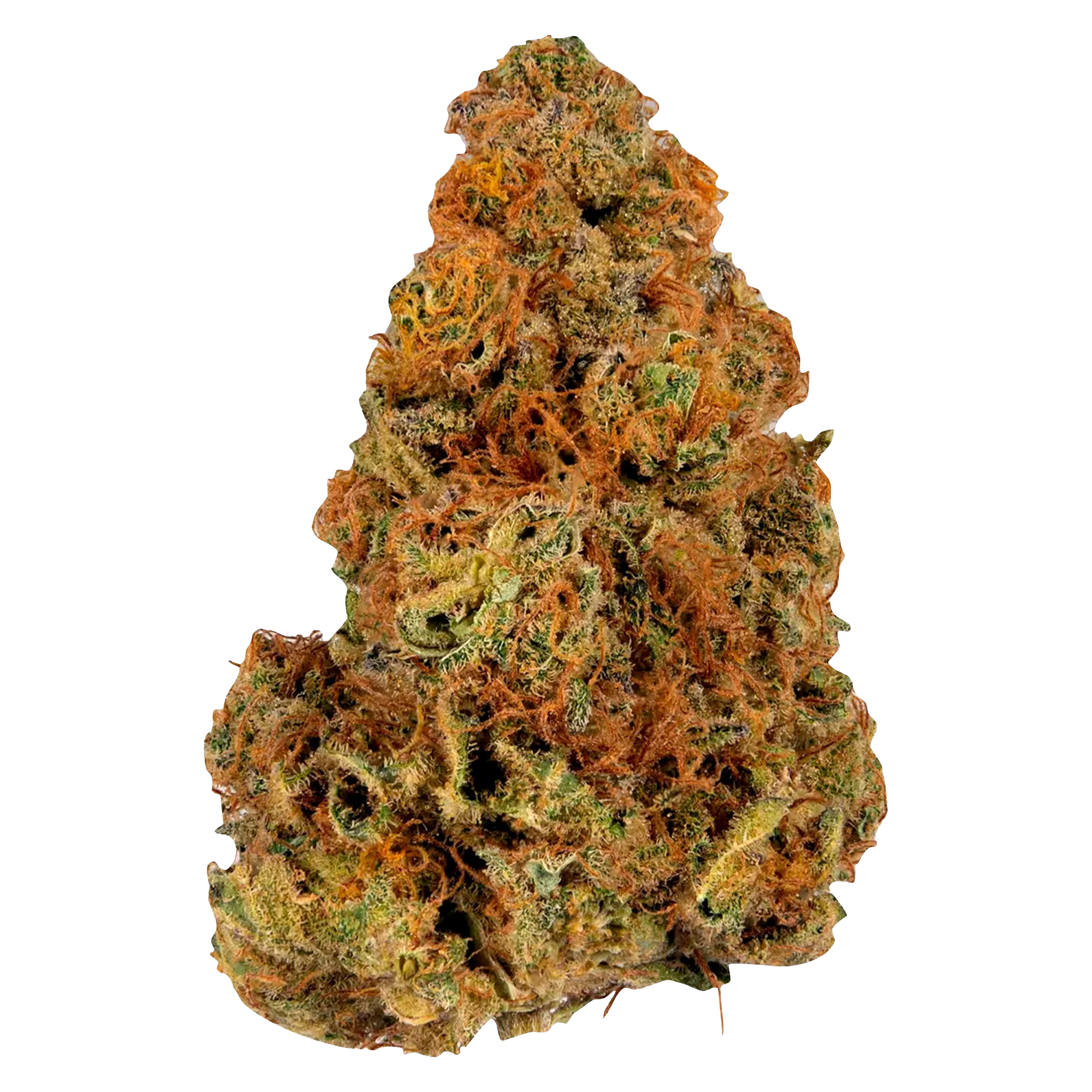 Ripped Indica 2