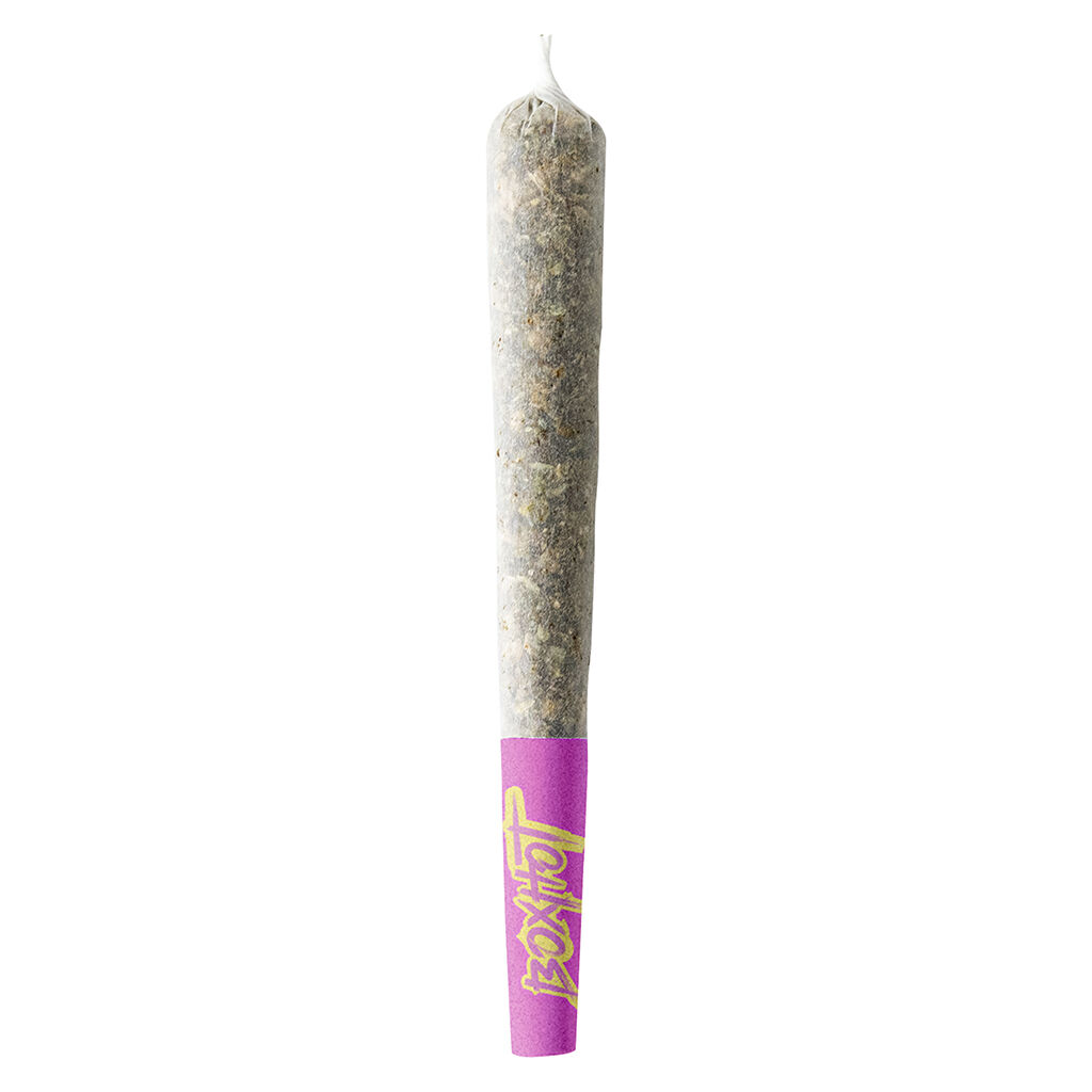 Terpedos - Neon Riot - Sativa