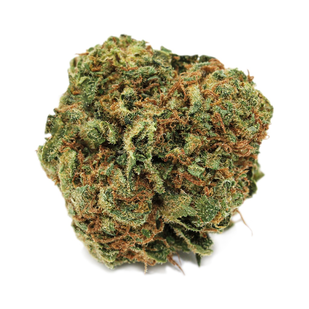 Blueberry - Hybrid