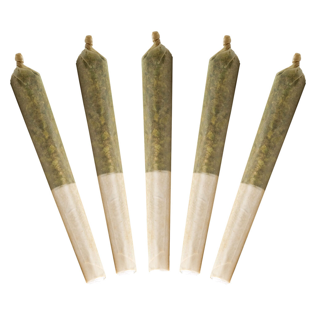 Lil Buddy Indica Pre-Roll