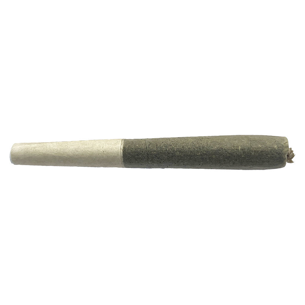 Moby Dick Pre-Roll