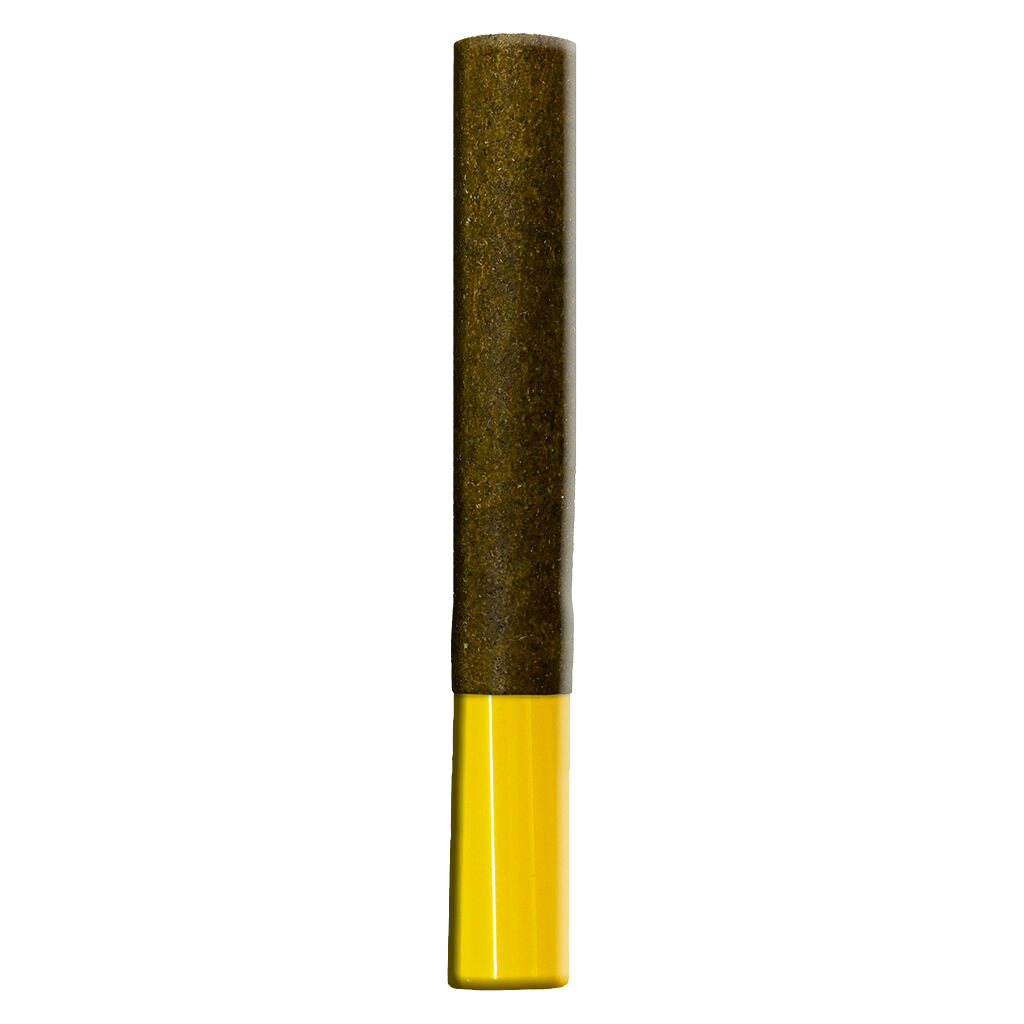 Hash Wrap Sativa