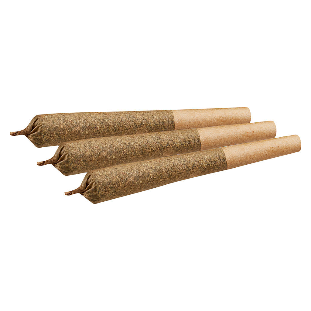Black Domina Pre-Roll