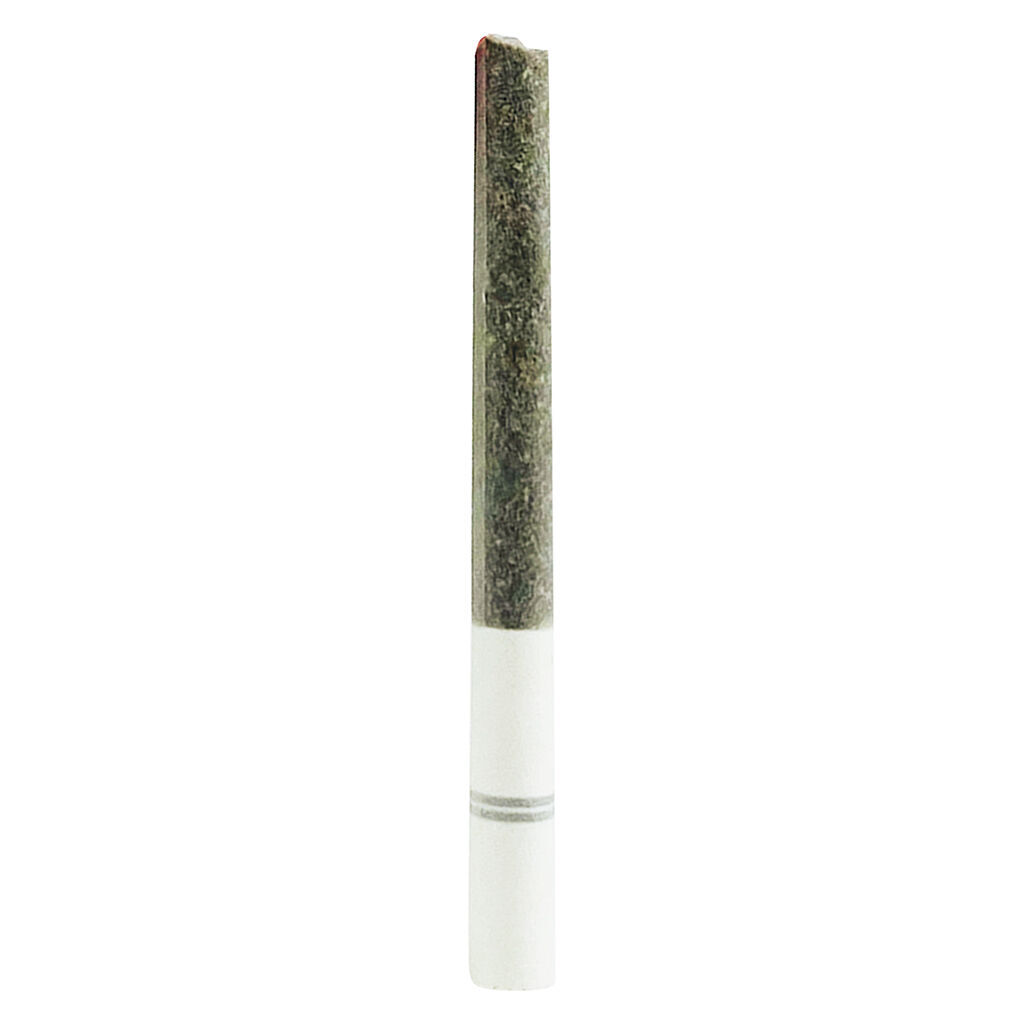 Blasters Trident Pre-Roll