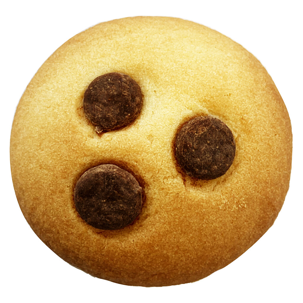 Chocolate Chip Biscuit