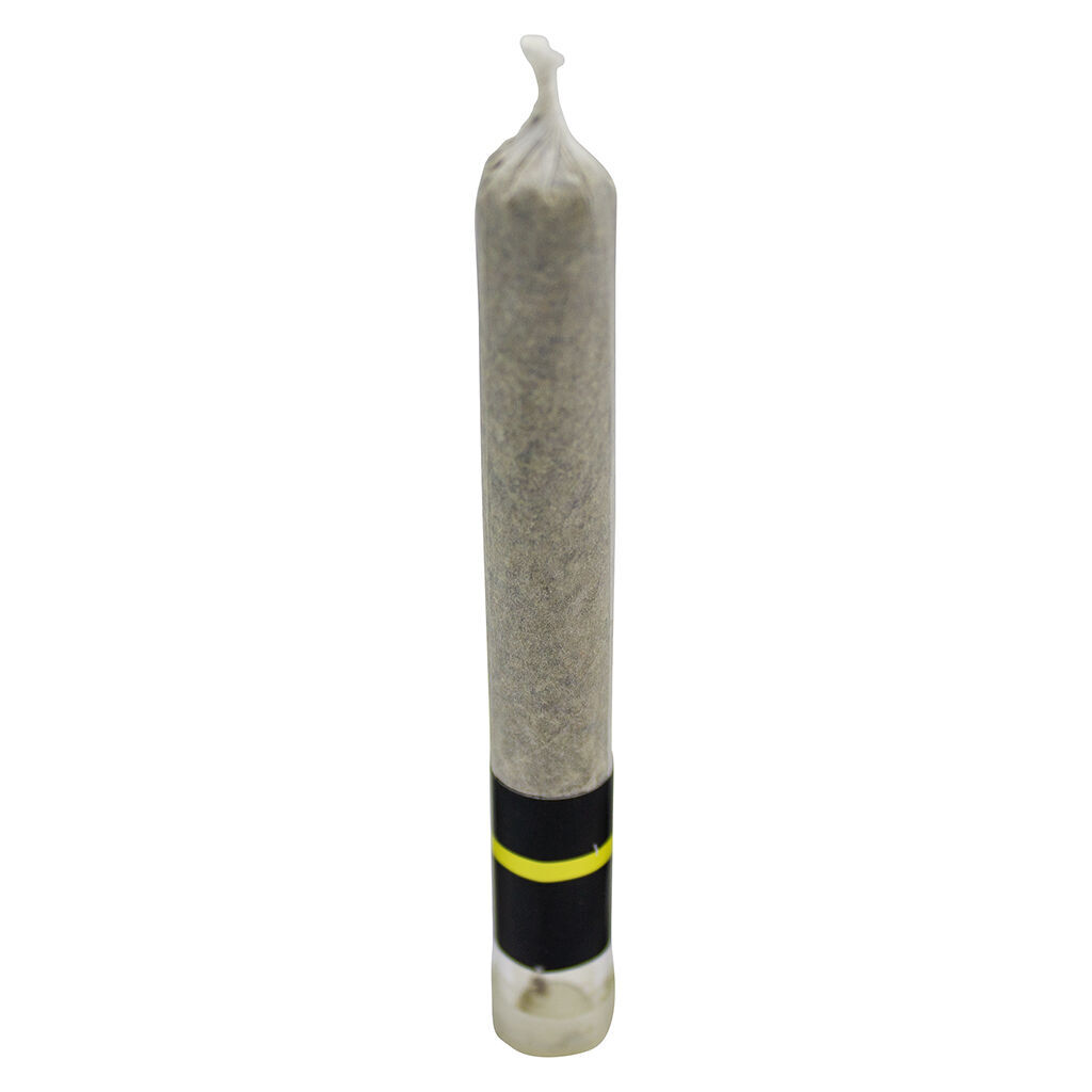Supercharged Joint 2