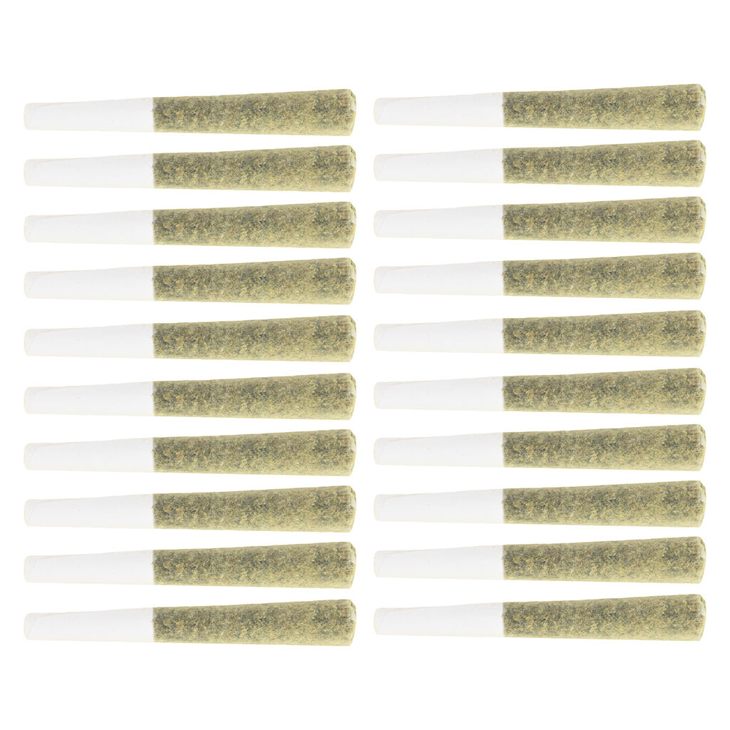 OPS Pre-Roll 2