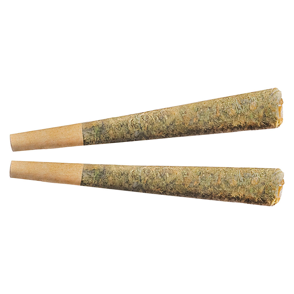 Fuego Night Rider Indica Pre-Roll
