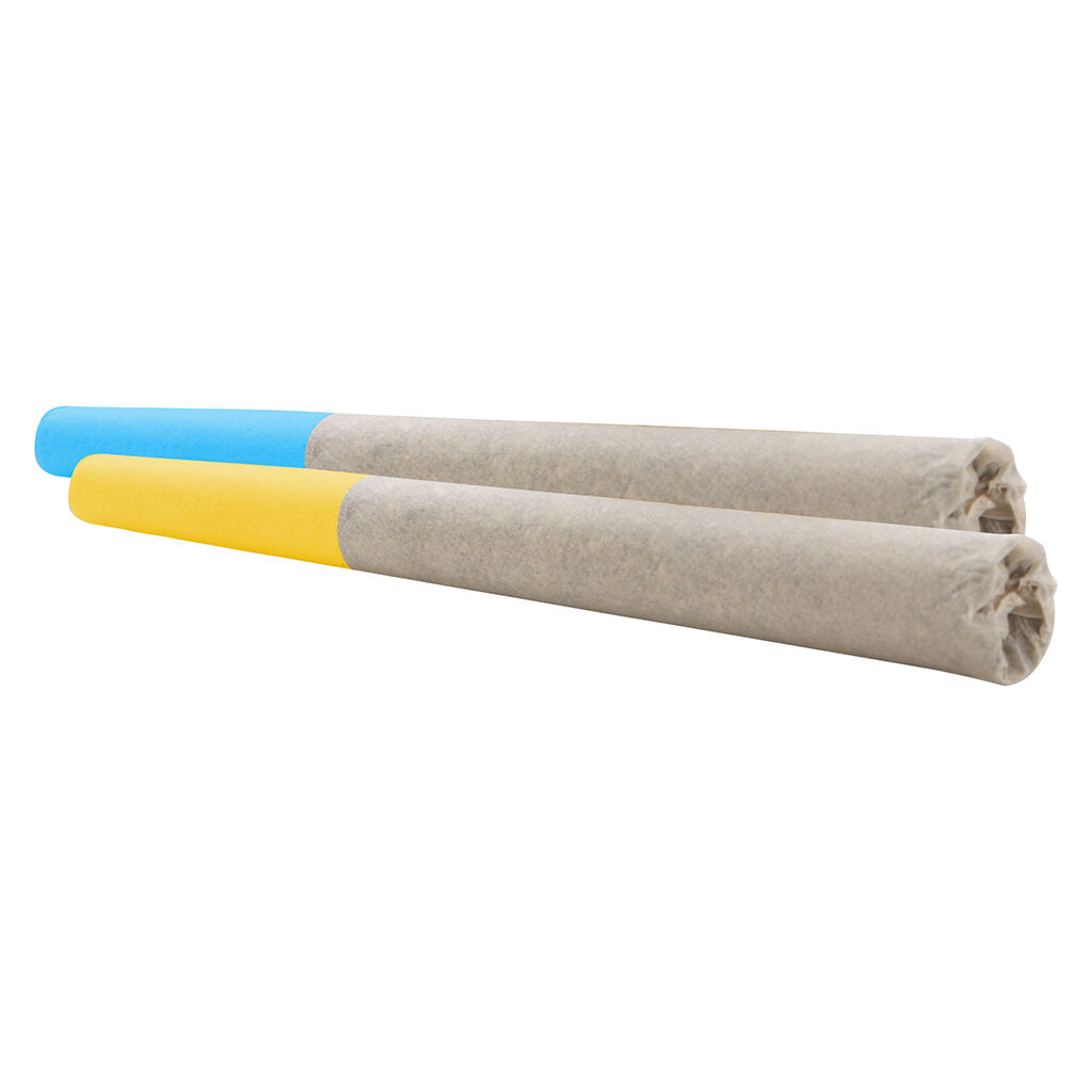 Double Dutch Bus/WiFi 41xIce Cream Cake+Pineapple Upside Do