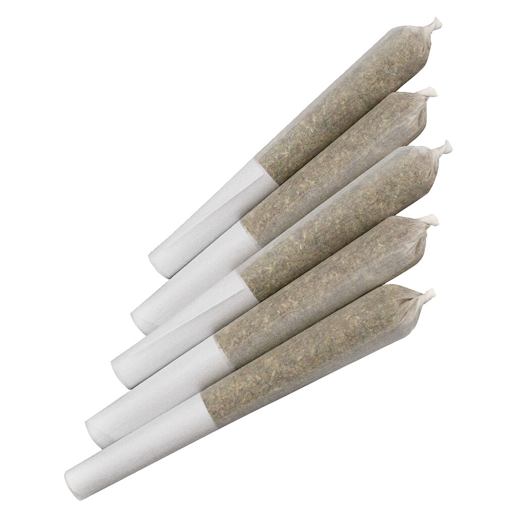 Red Rozay Pre-roll