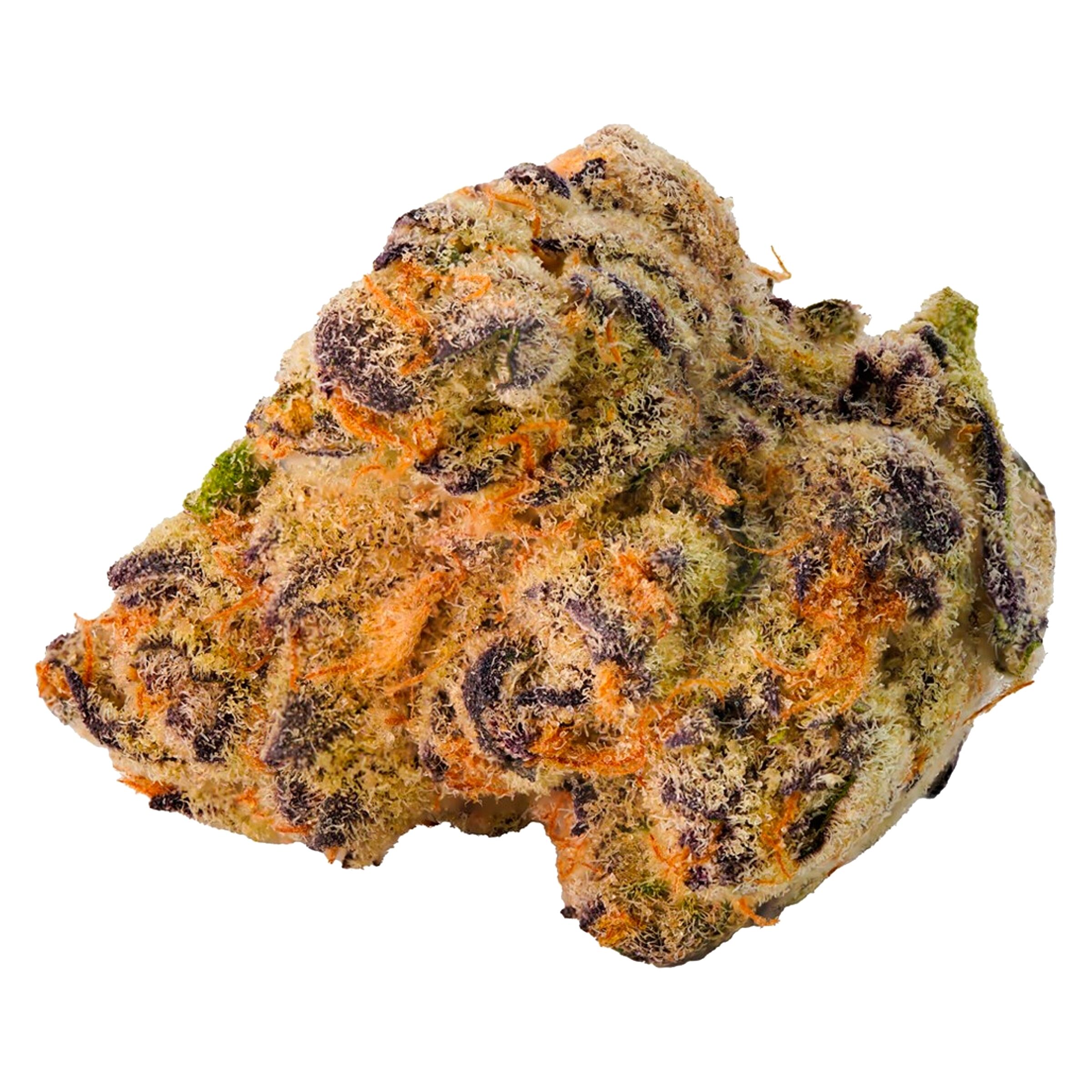 Paulander Purple Smalls