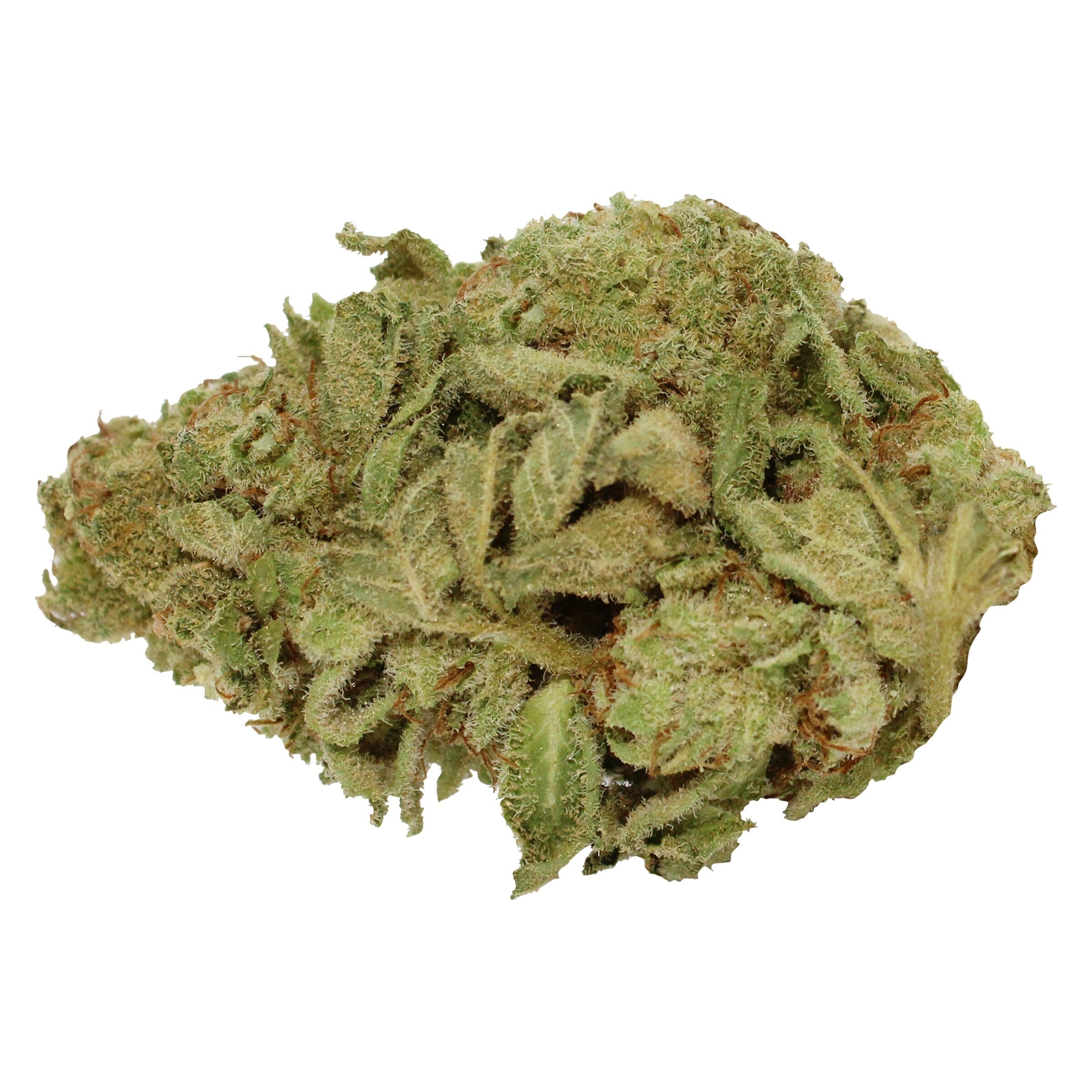 Big Pleasures (Sativa) 2