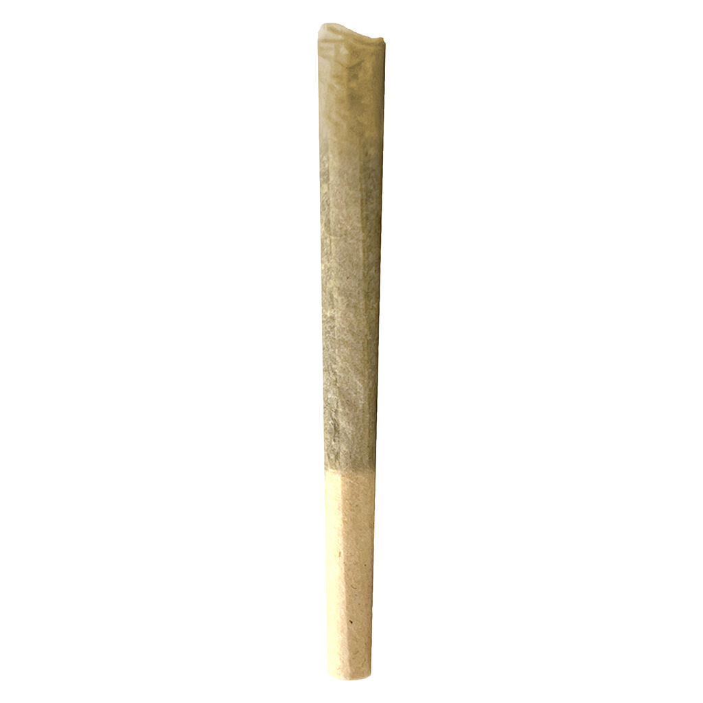 Dante'z Inferno Pre-roll