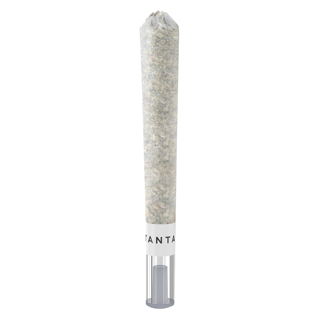 Horchata ULTRA MAX Diamond Infused Glass Tip Pre-Roll