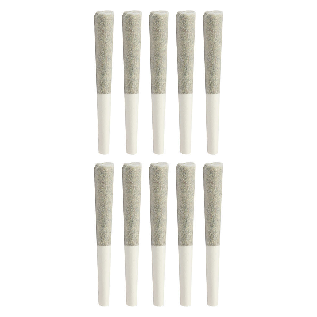 Red Velvet Ice Cream Dog Walker Pre-Roll