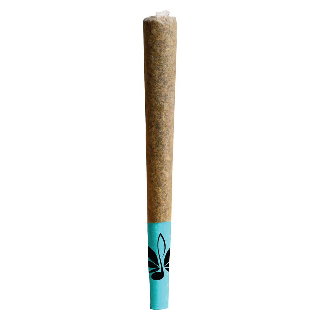 The Blues Pre-Roll