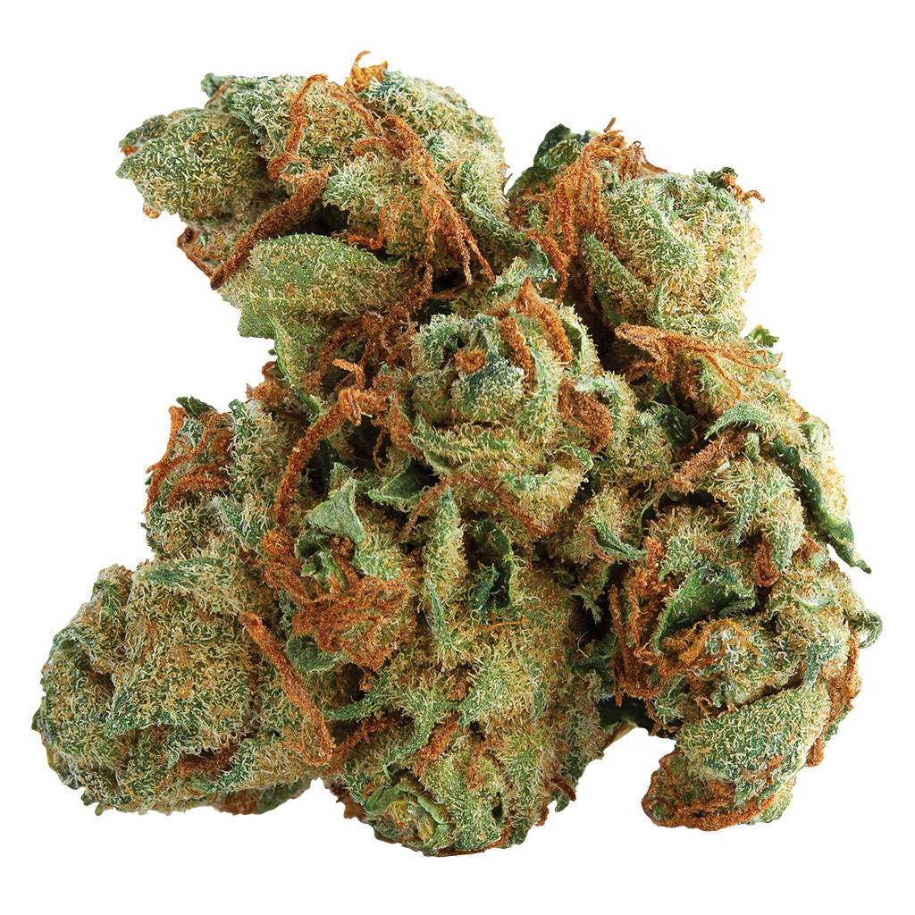 Tangerine Twist 3